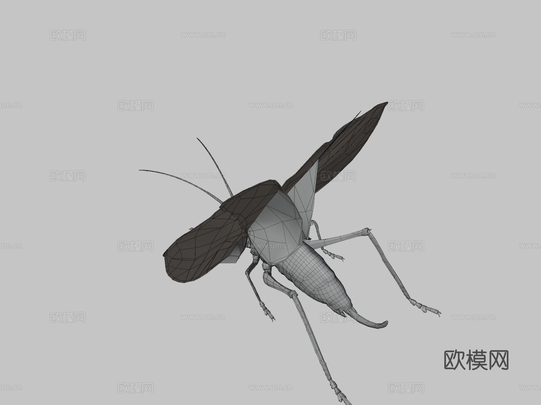 翼眼螽斯su模型