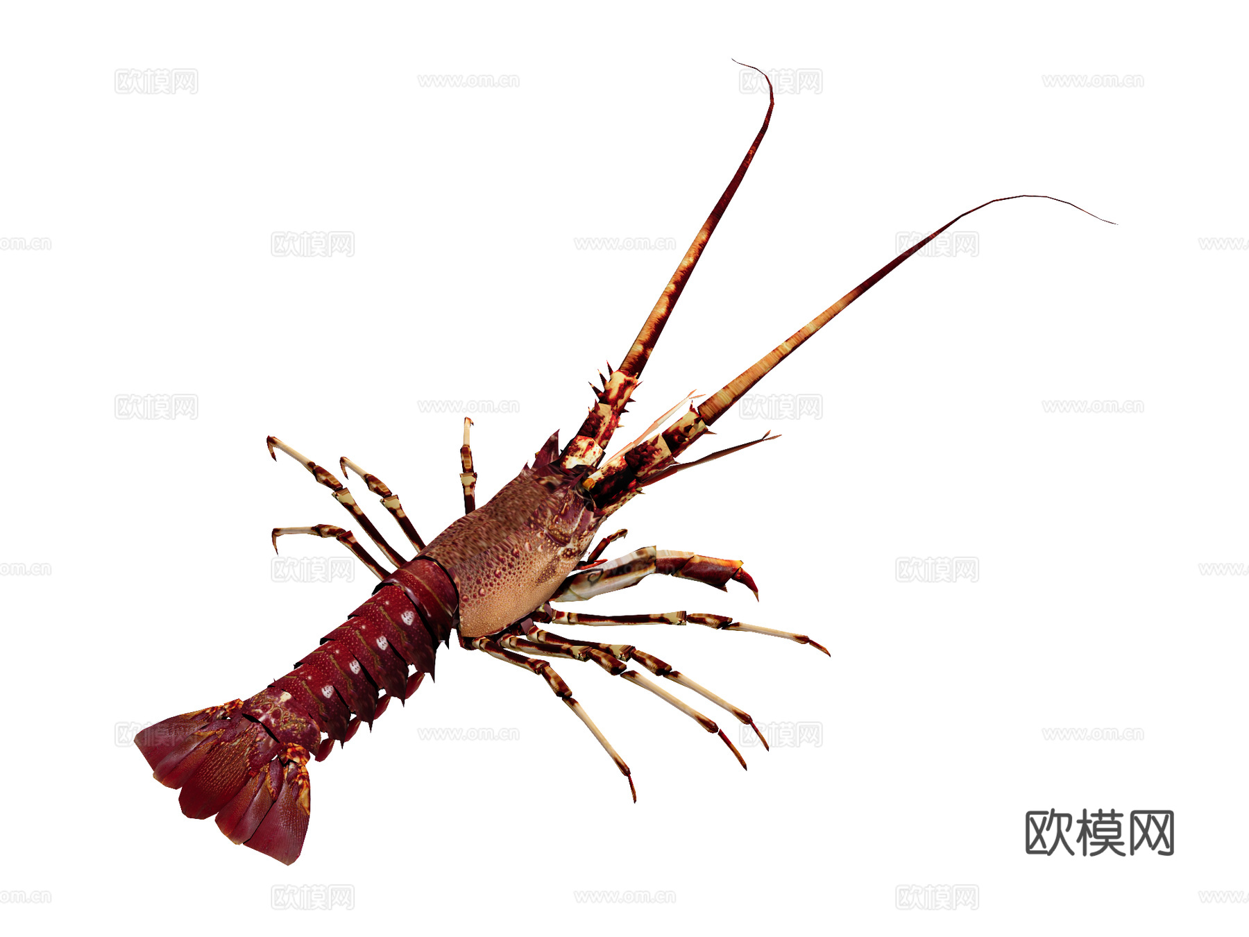 龙虾su模型