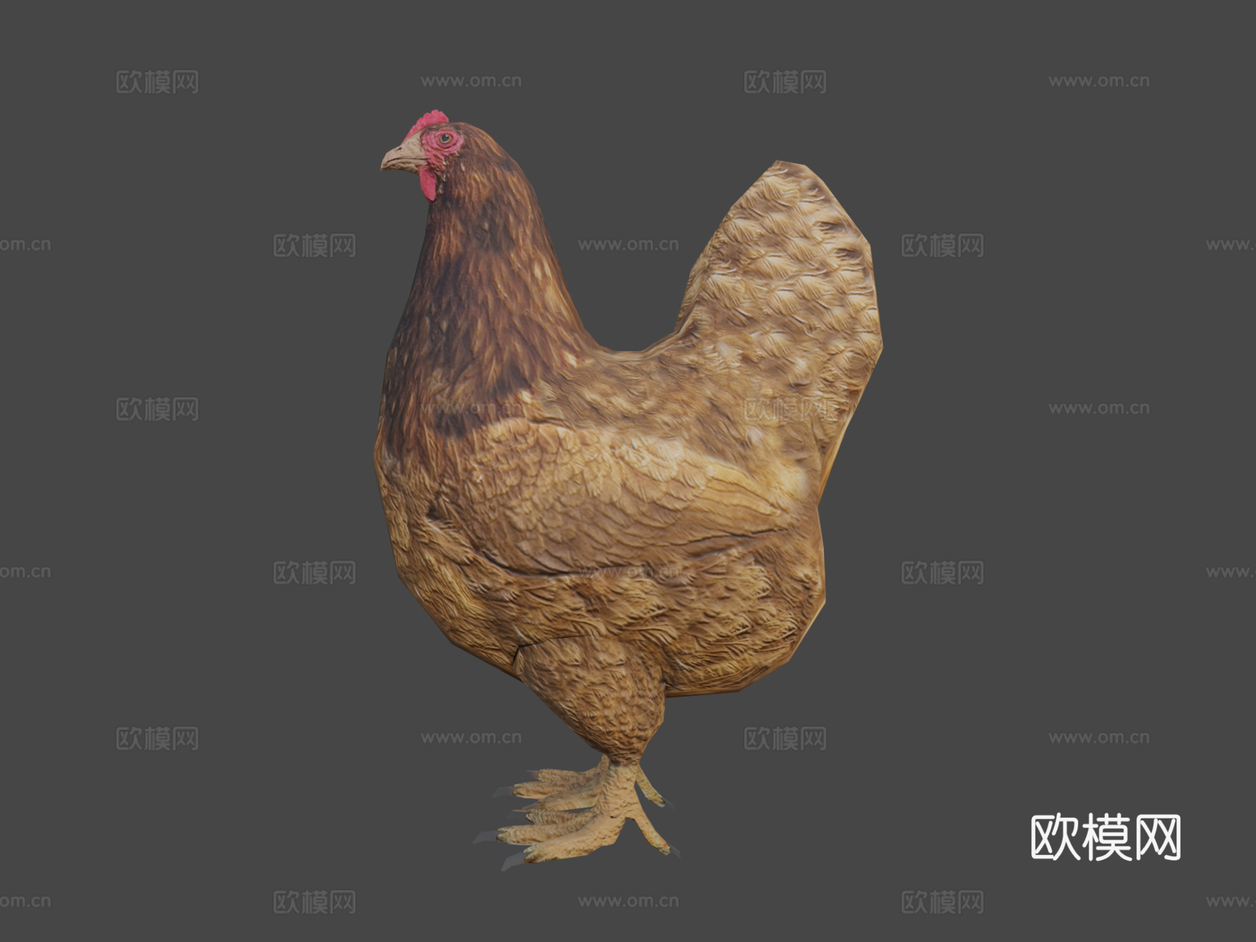 母鸡su模型