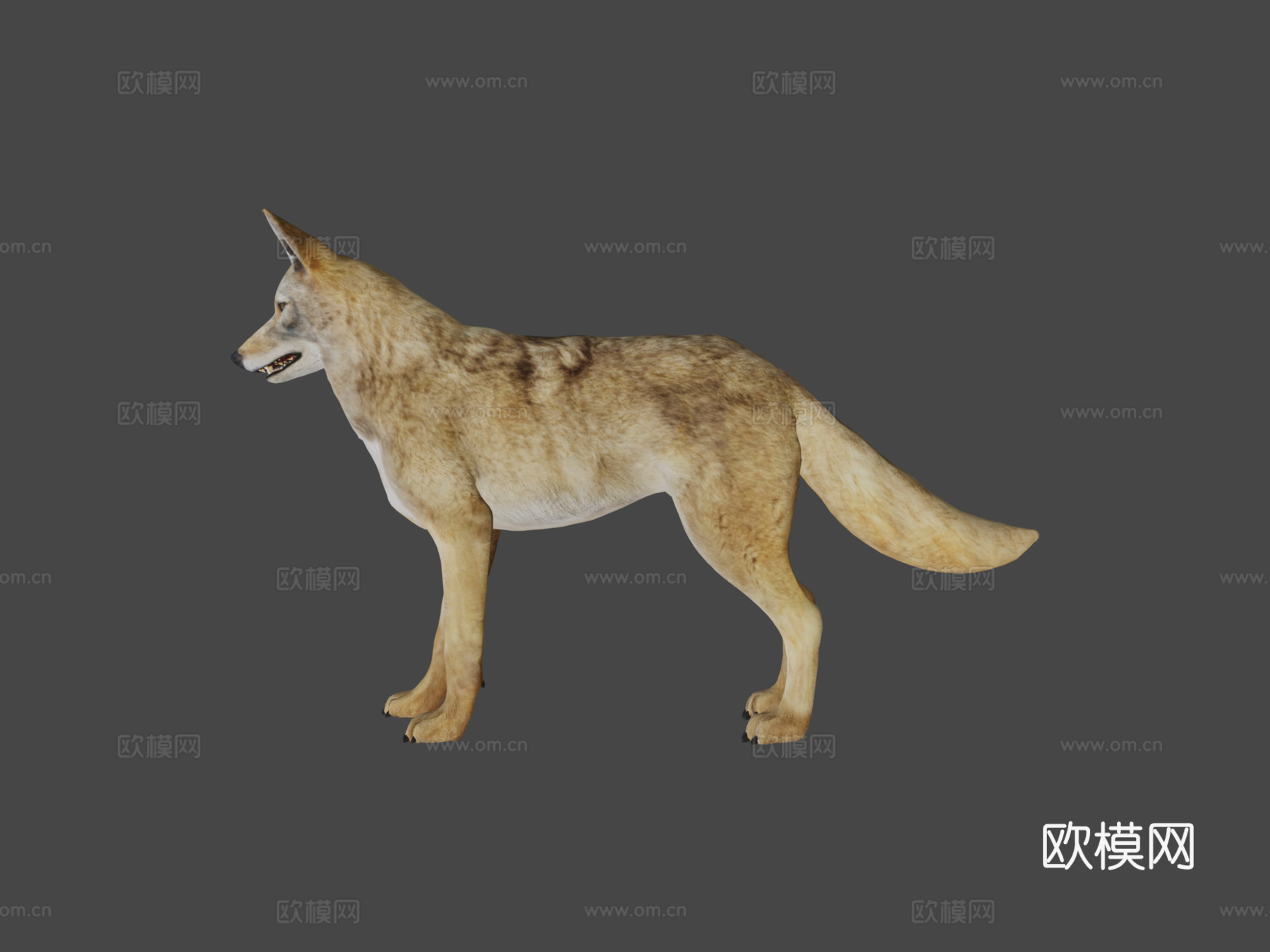 郊狼游戏就绪su模型