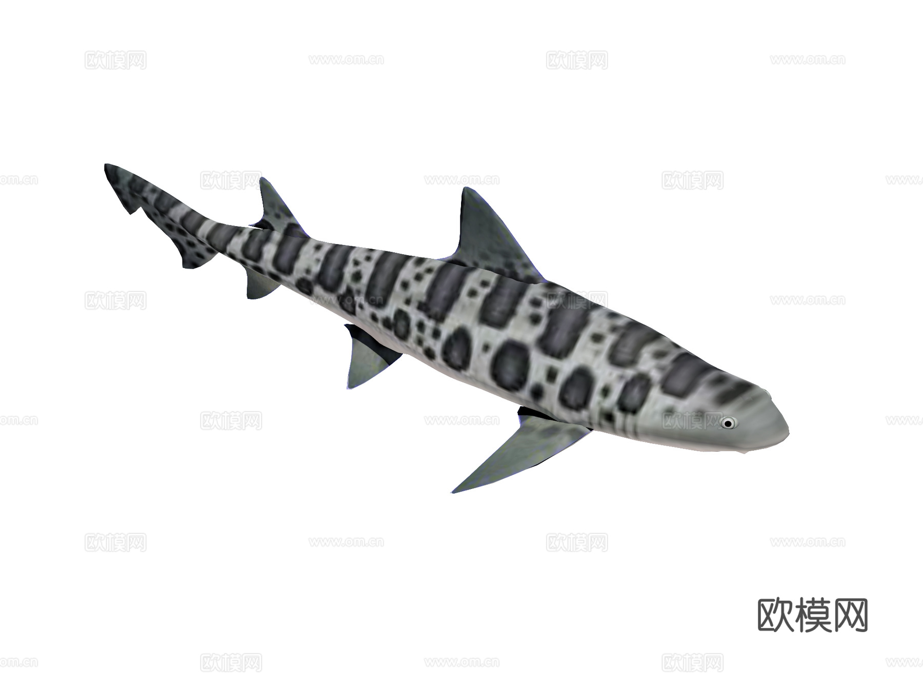 海鱼 猫鲨su模型