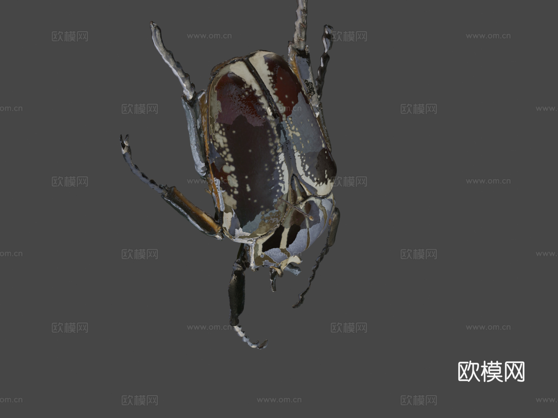 歌利亚甲虫su模型