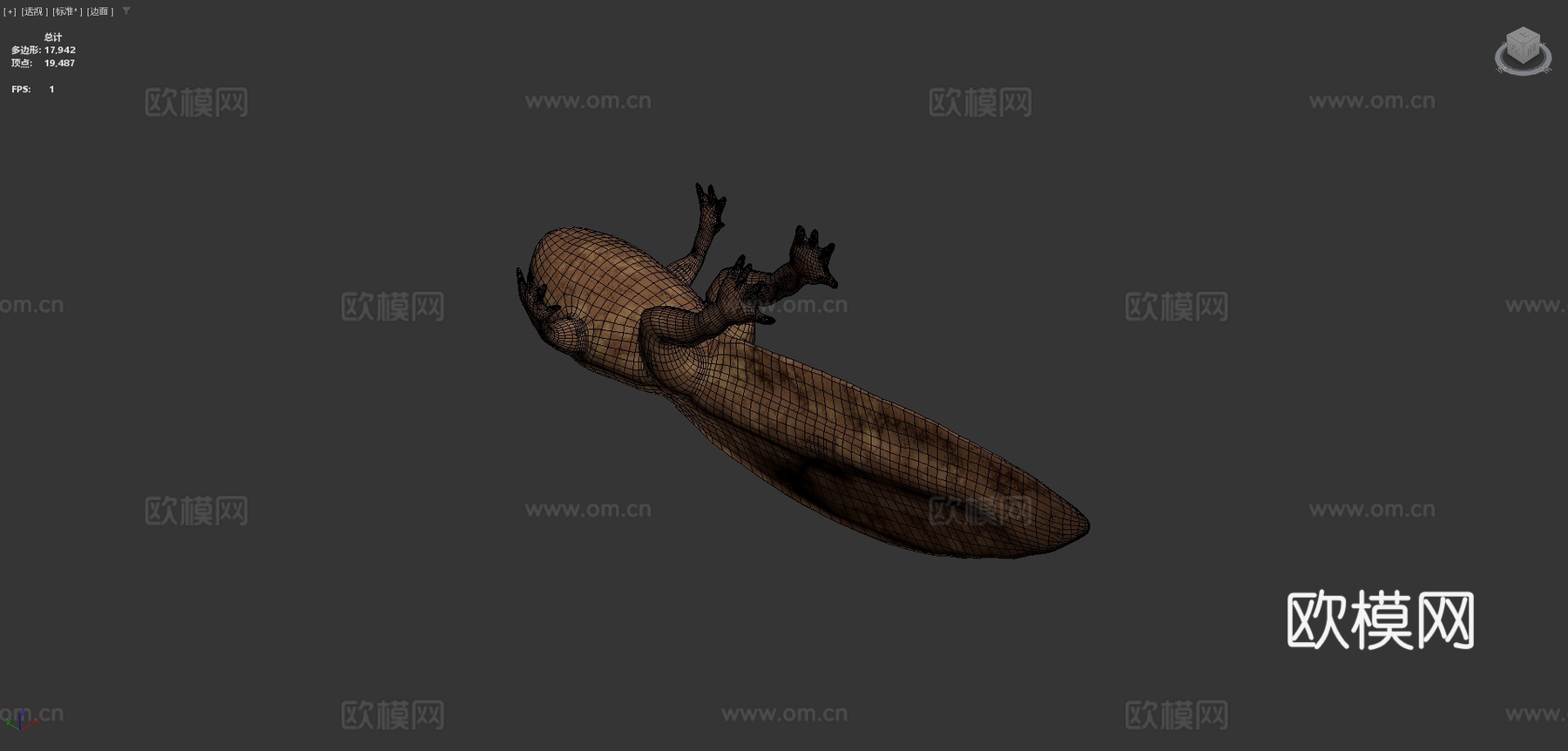 食用蛙蝌蚪su模型