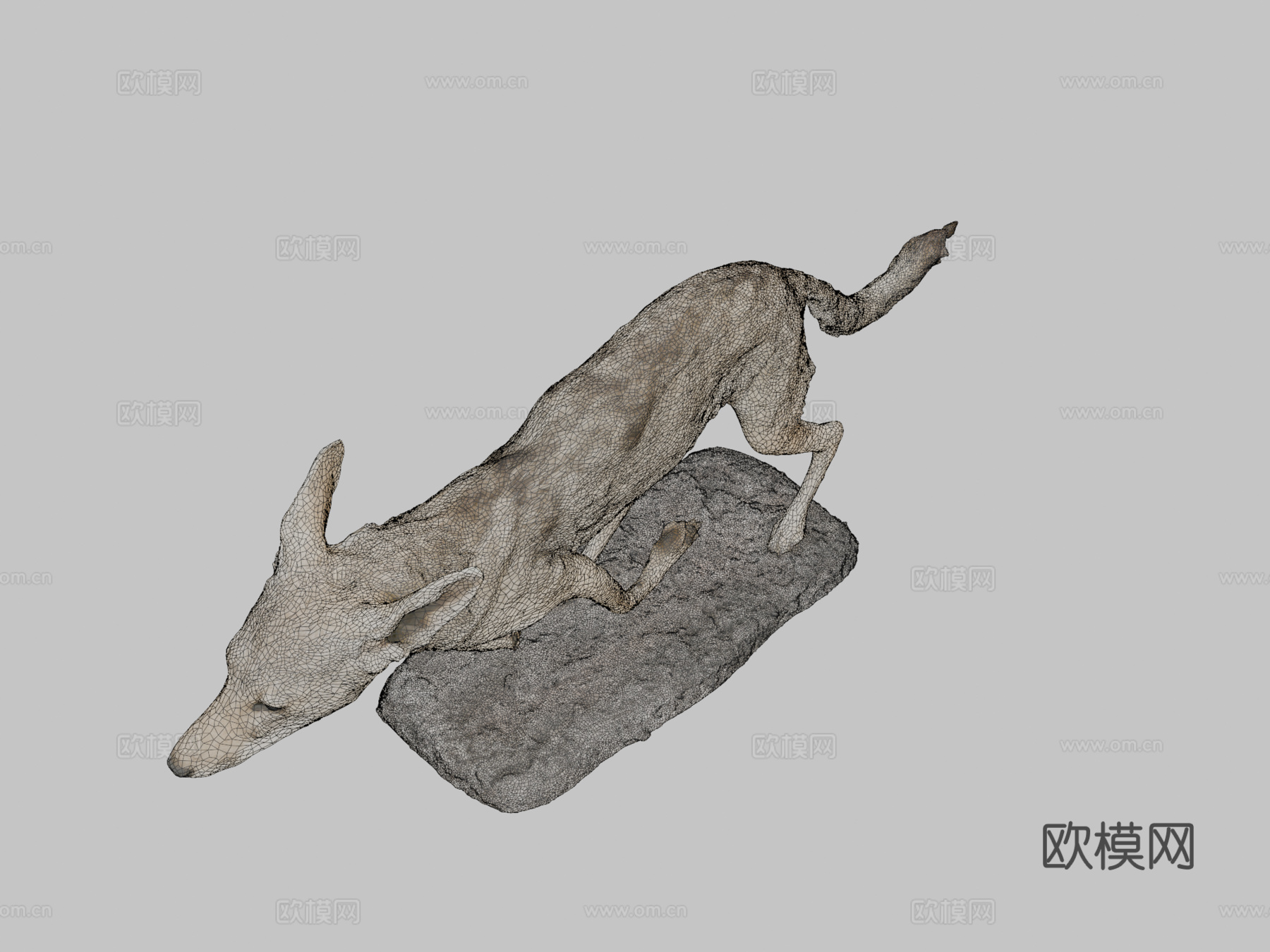 NSMTM32094黑背豺标本su模型