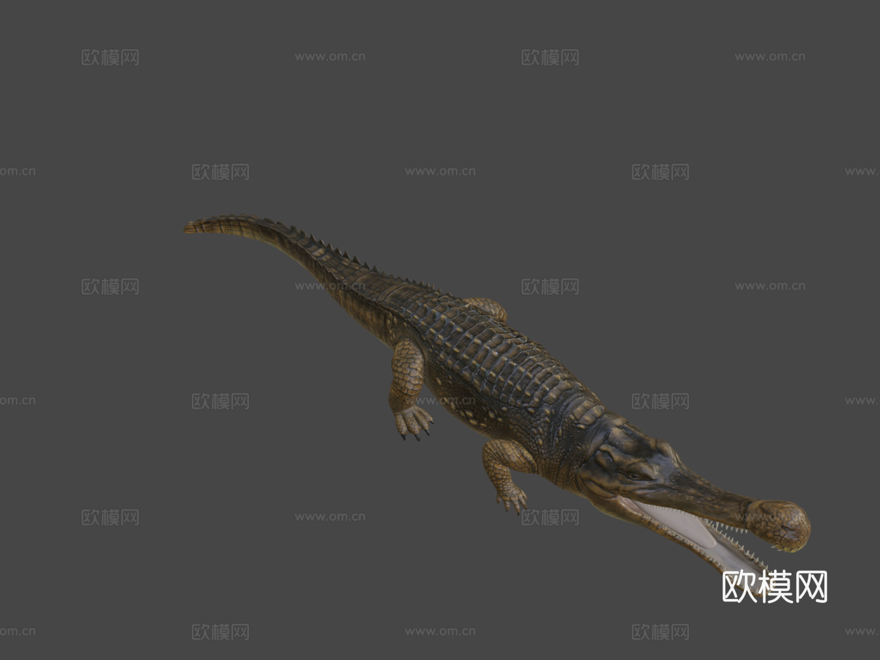 帝鳄su模型