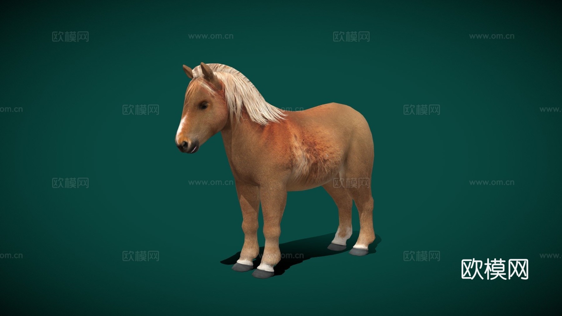 小马低多边形su模型