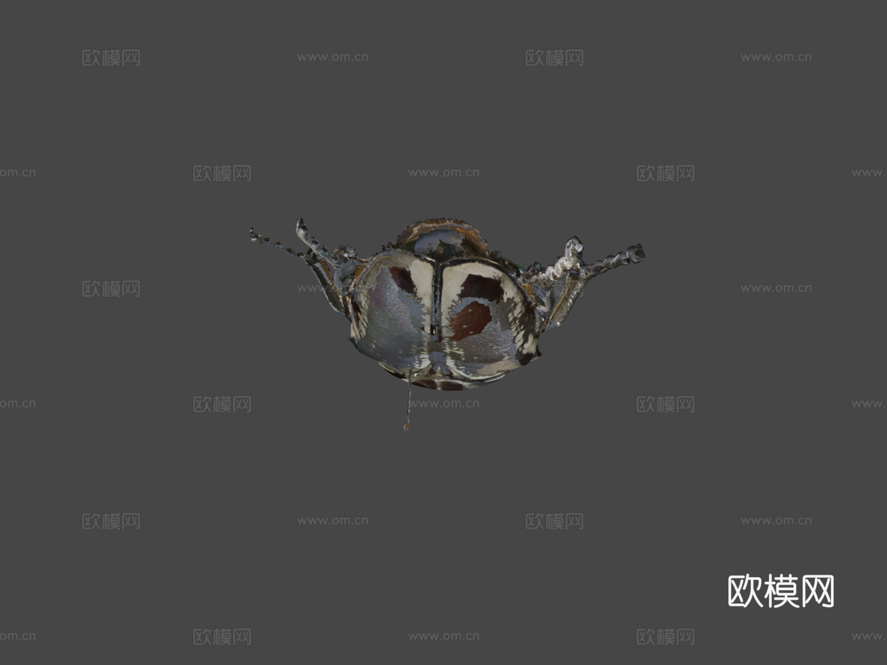 歌利亚甲虫su模型