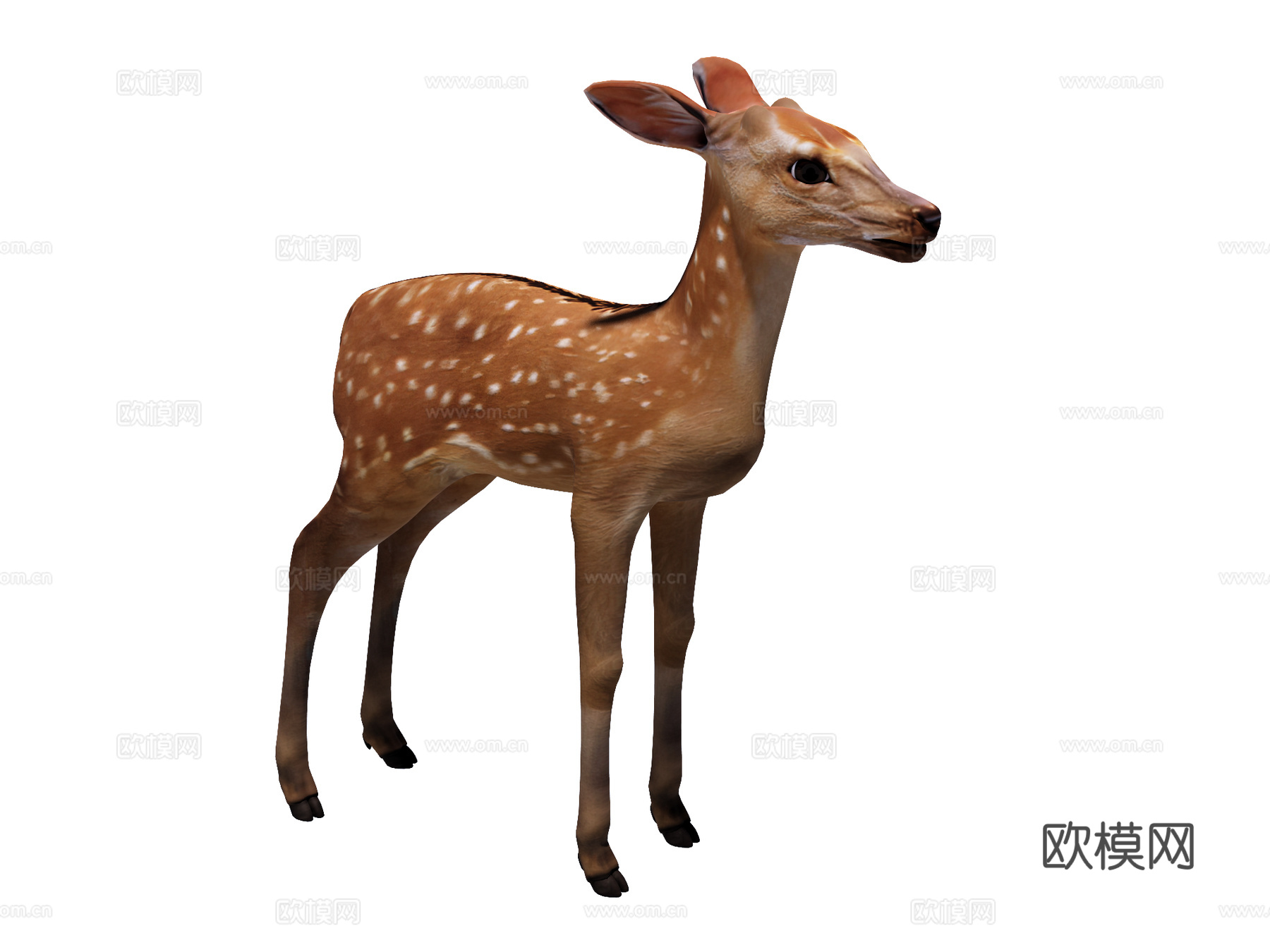 梅花鹿su模型