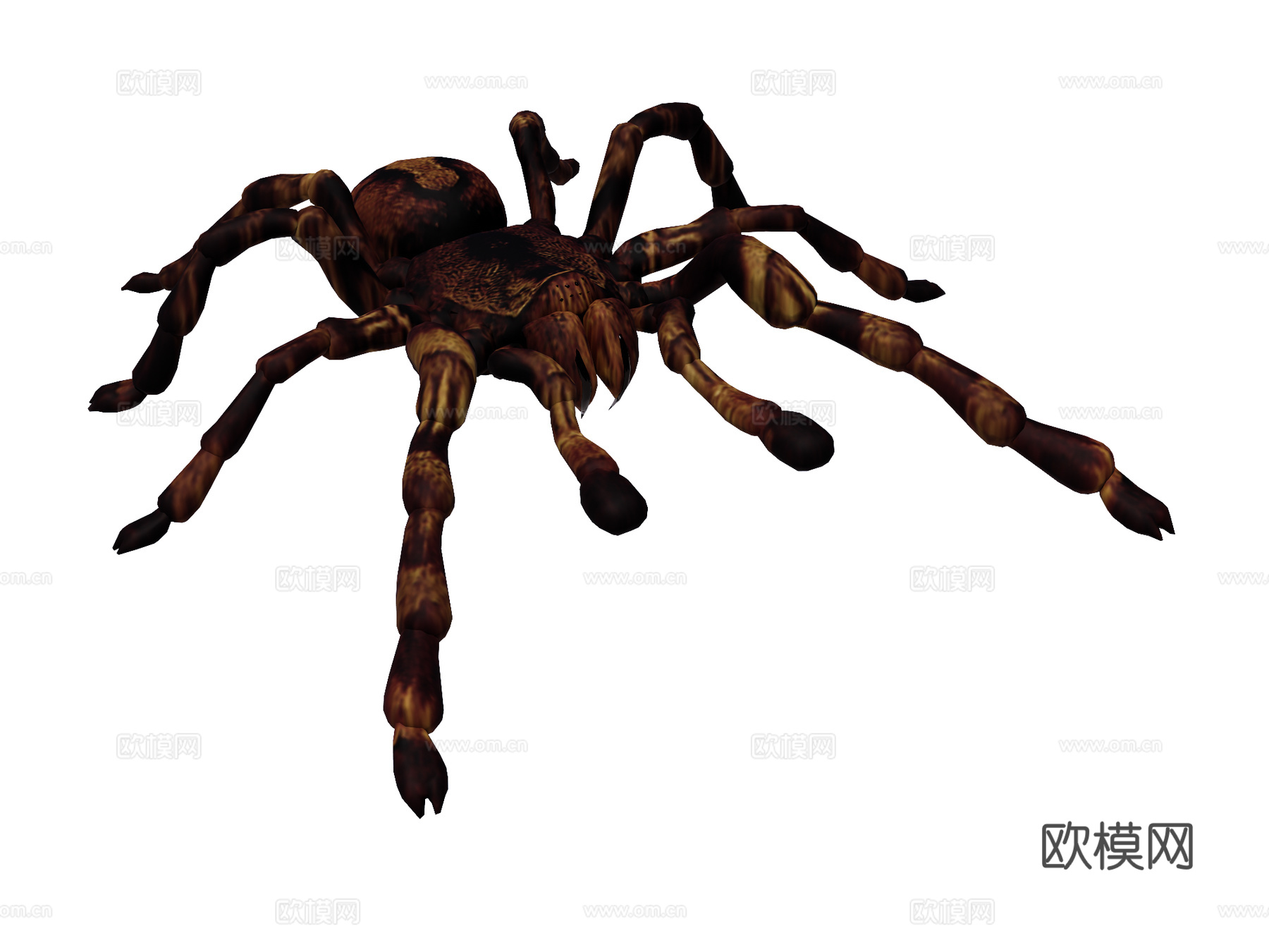 蜘蛛su模型