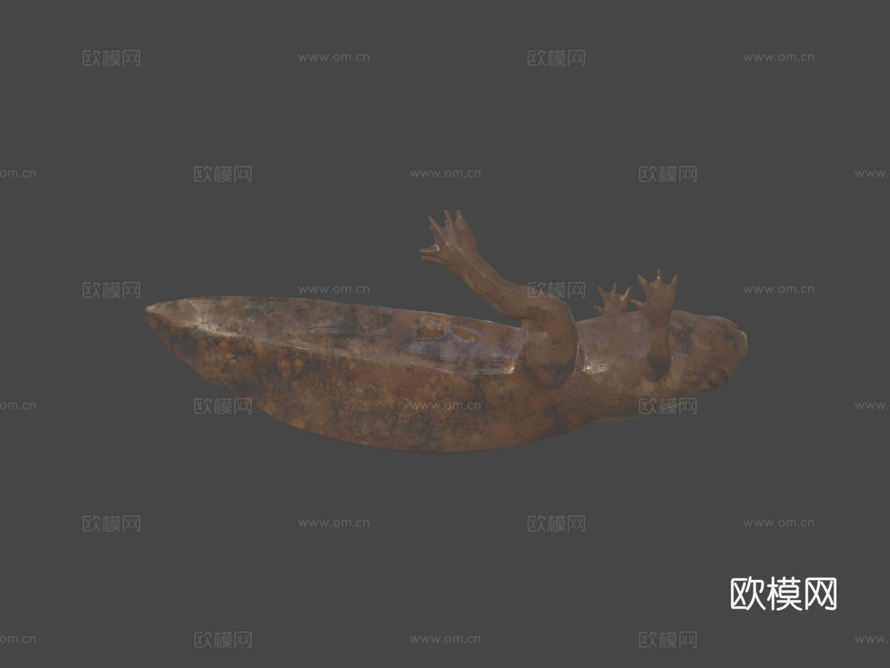 食用蛙蝌蚪su模型