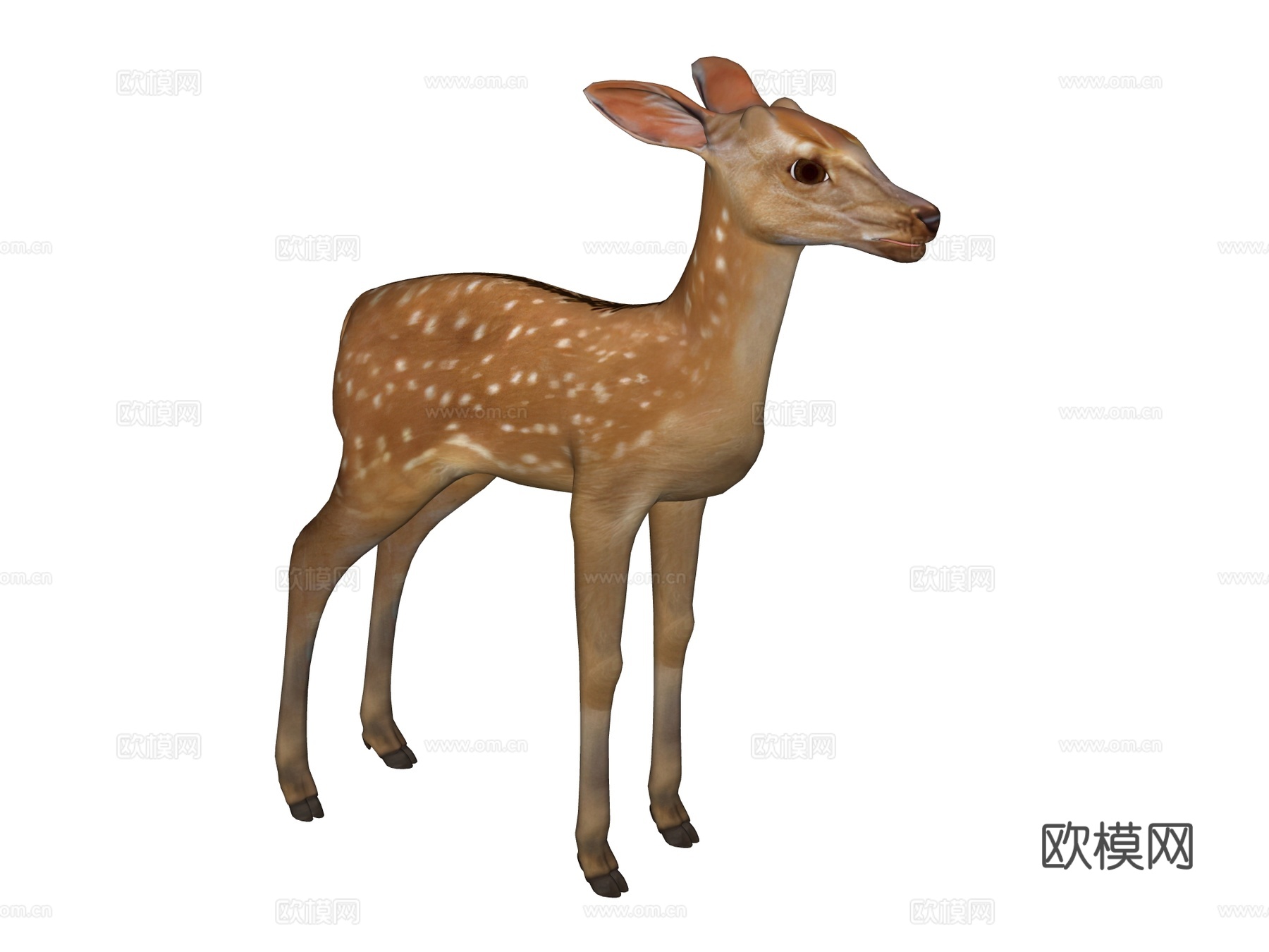 梅花鹿su模型