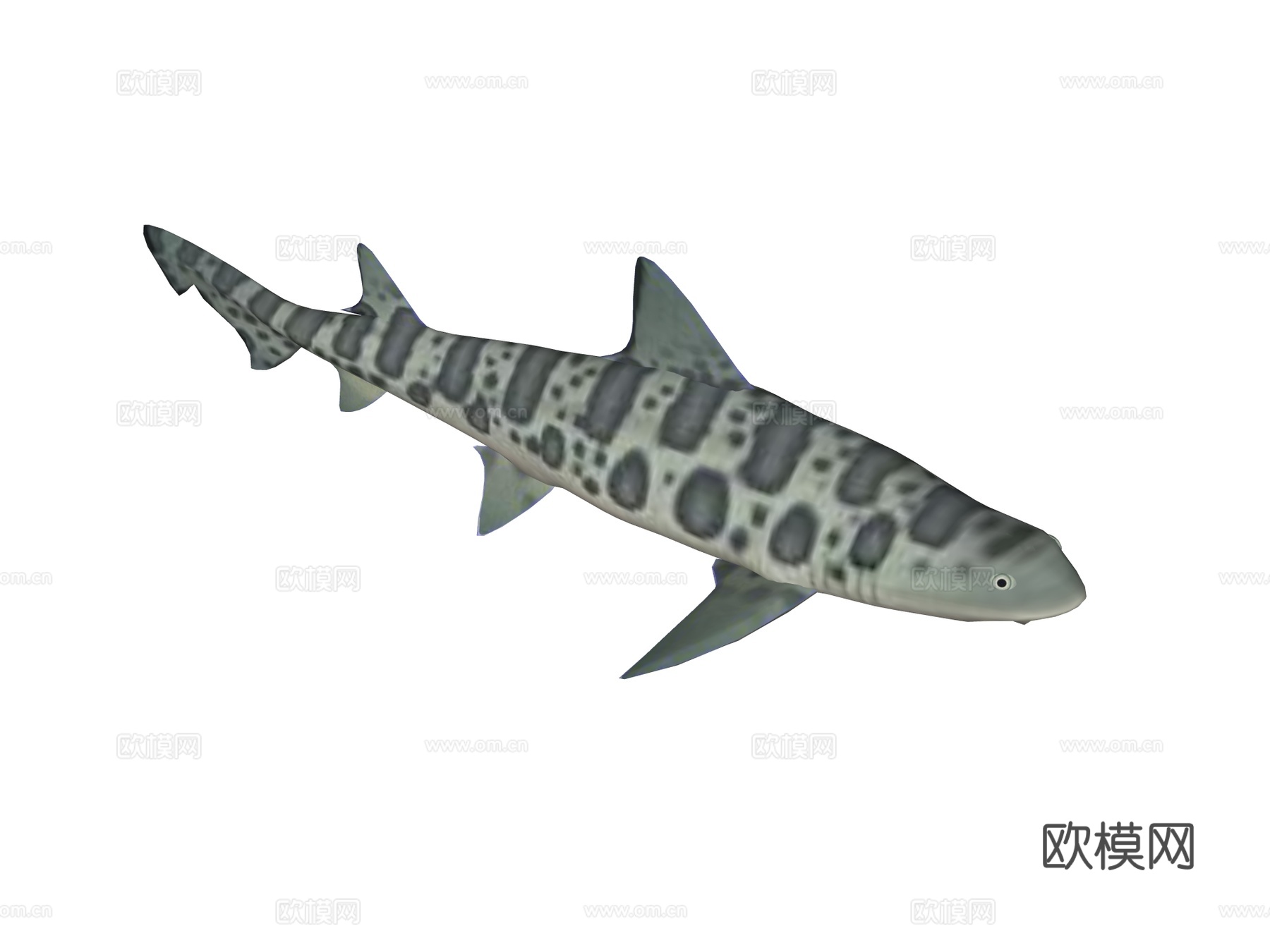 海鱼 猫鲨su模型