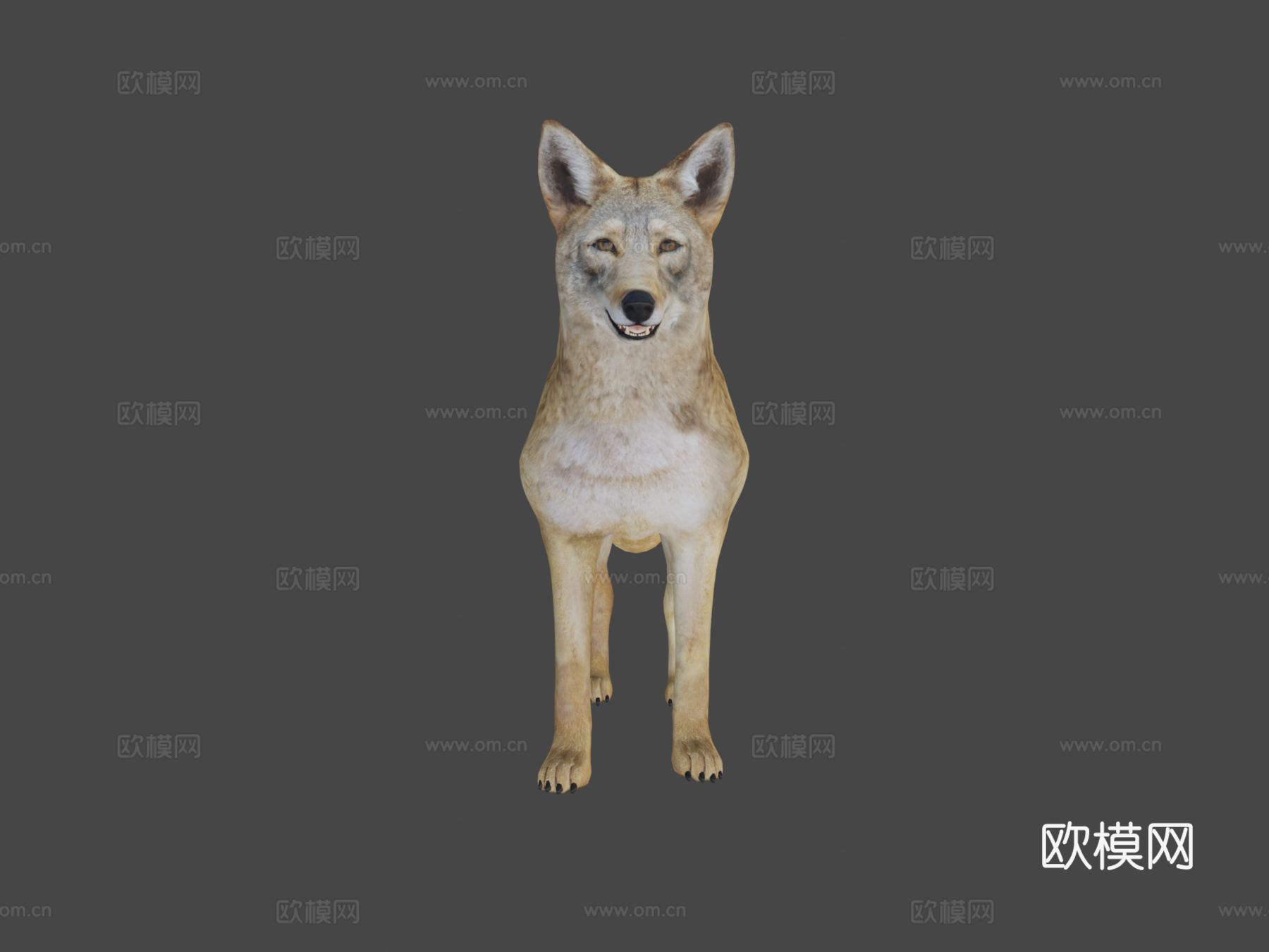 郊狼游戏就绪su模型