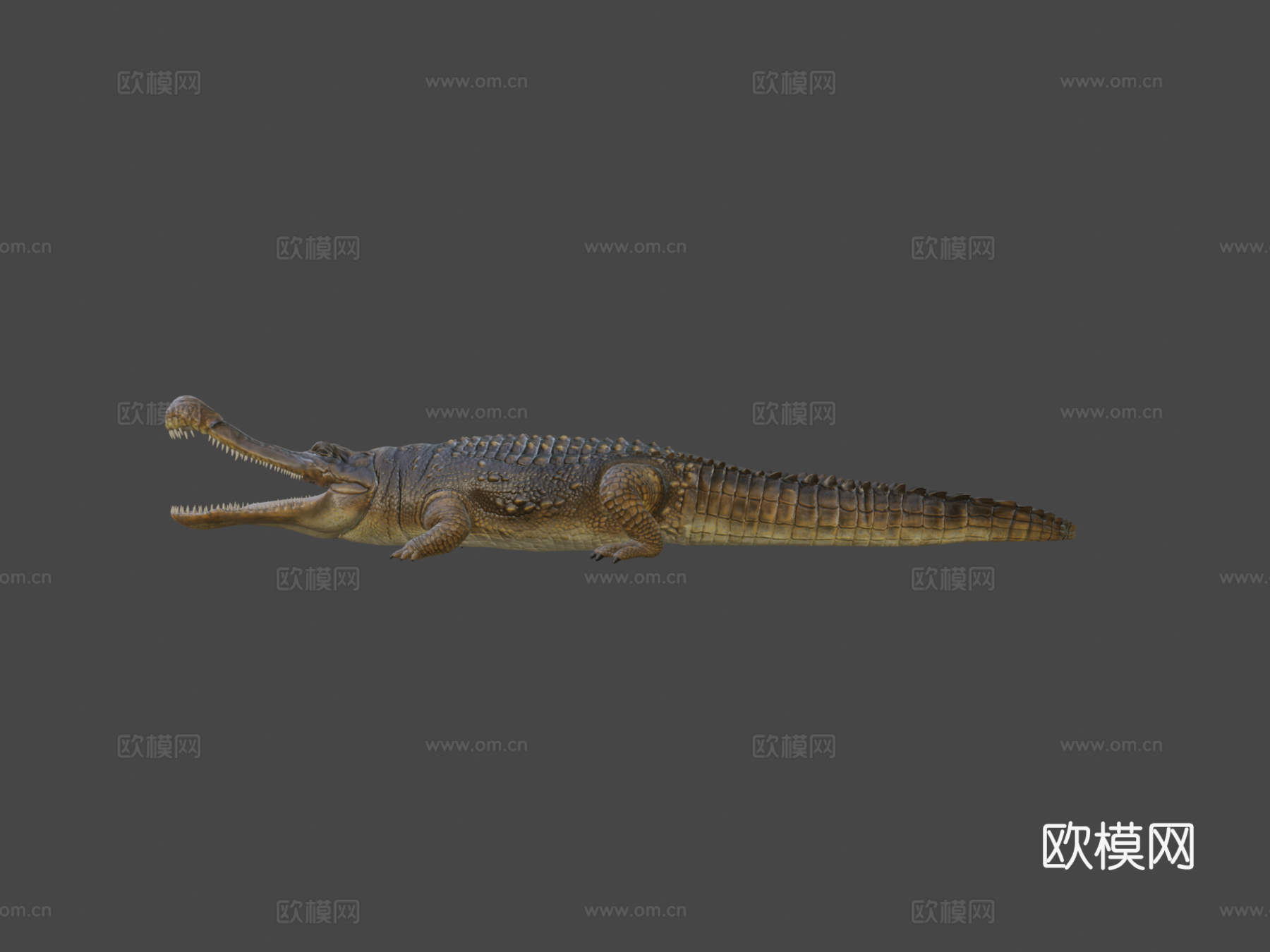 帝鳄su模型