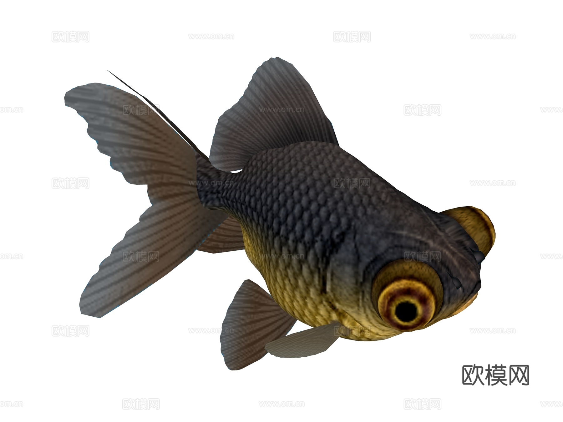 鱼 斗鱼su模型su模型