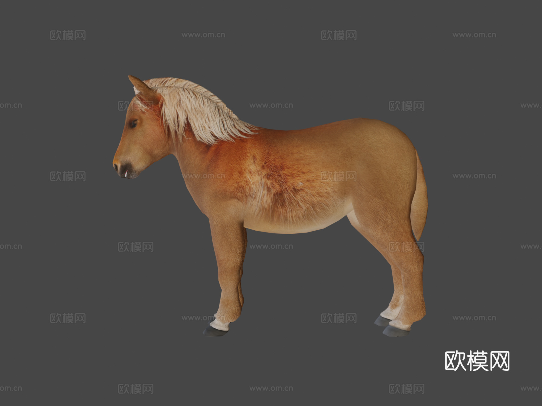 小马低多边形su模型