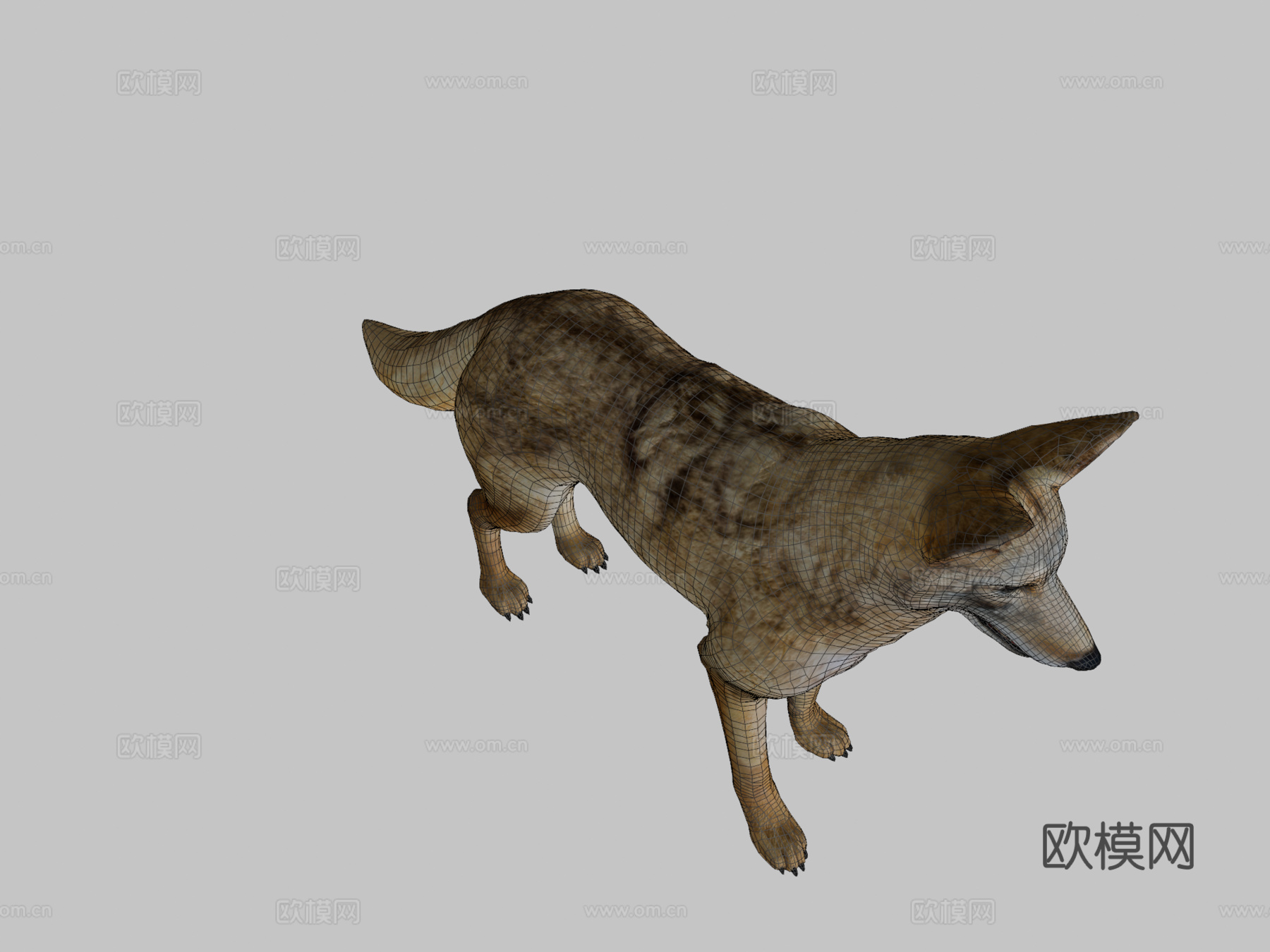 郊狼游戏就绪su模型