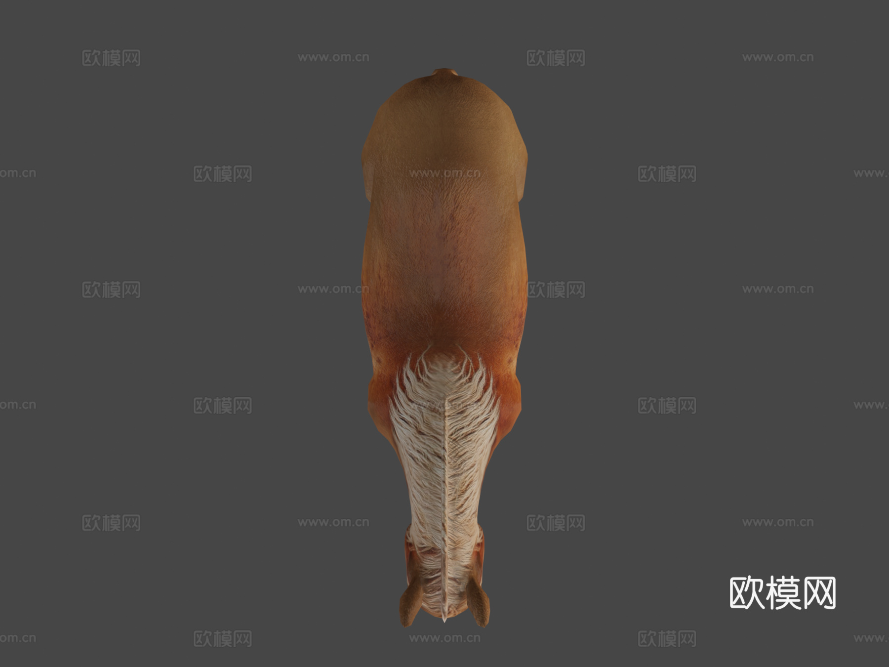 小马低多边形su模型