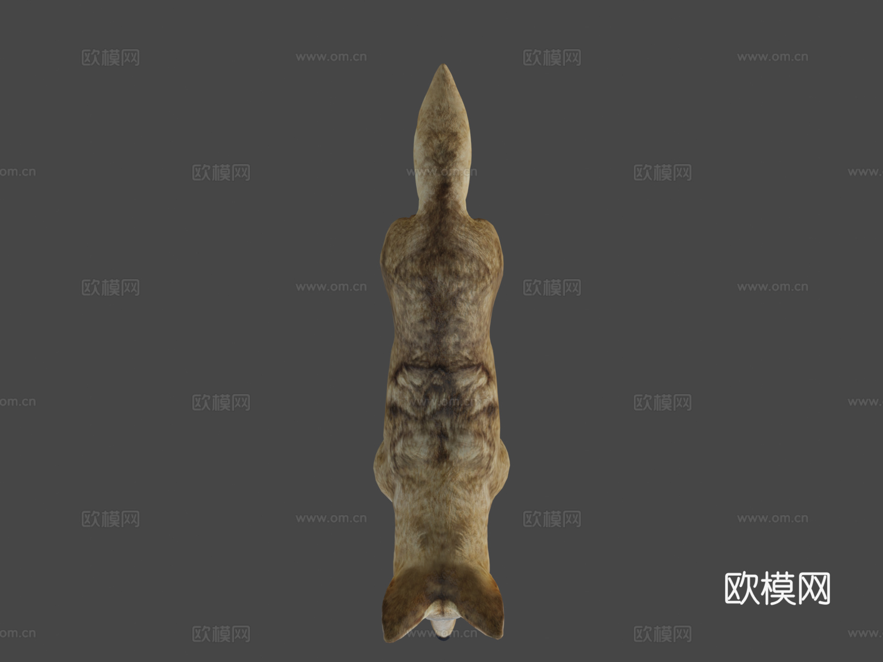 郊狼游戏就绪su模型