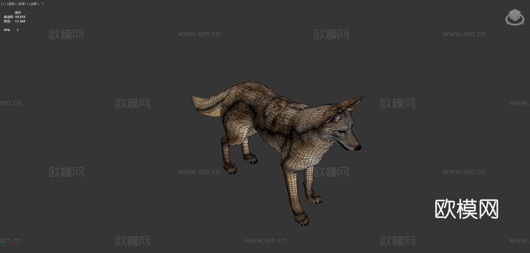 郊狼游戏就绪su模型