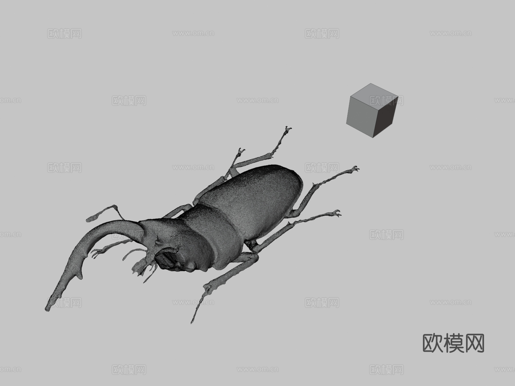 锯锹甲虫su模型