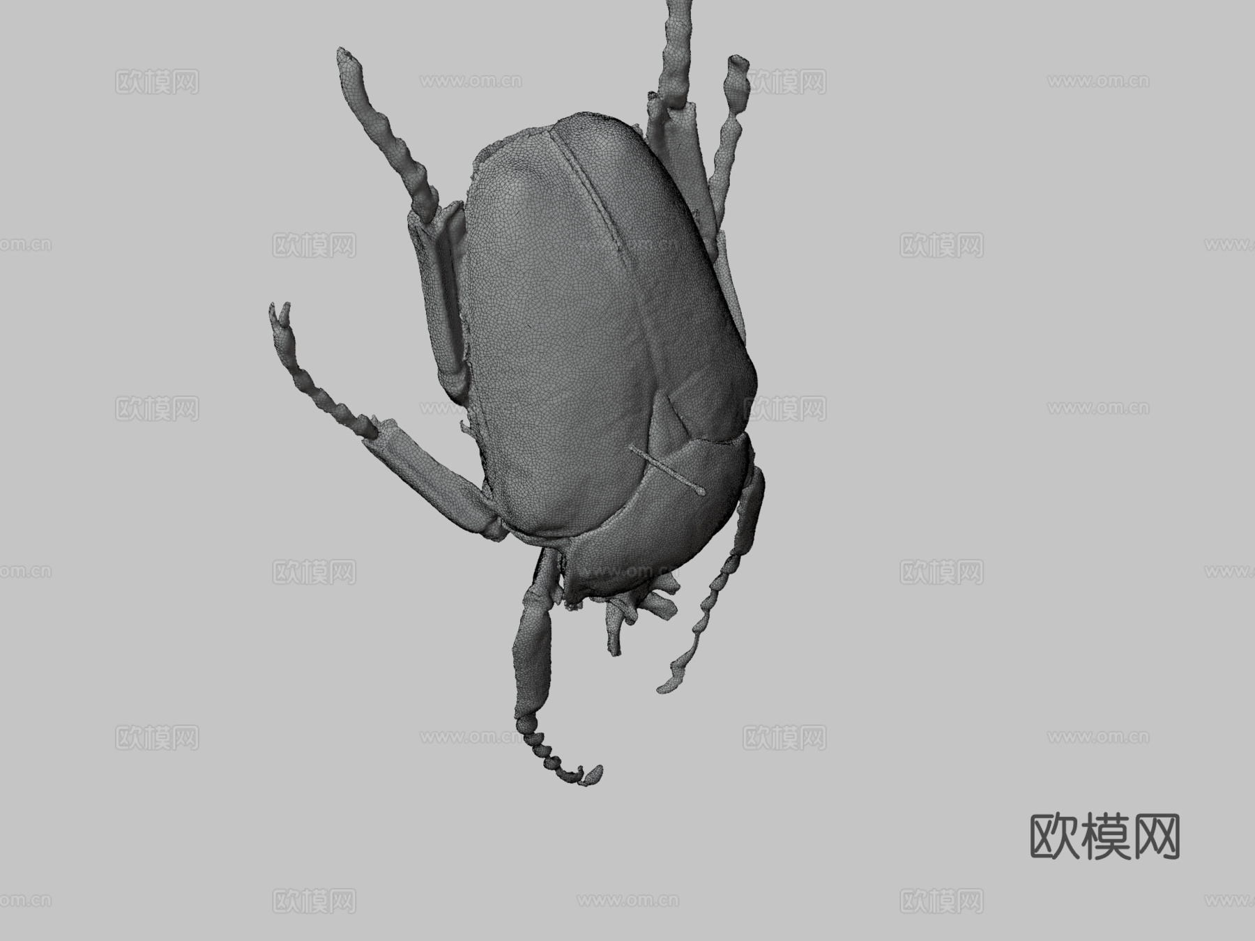 歌利亚甲虫su模型
