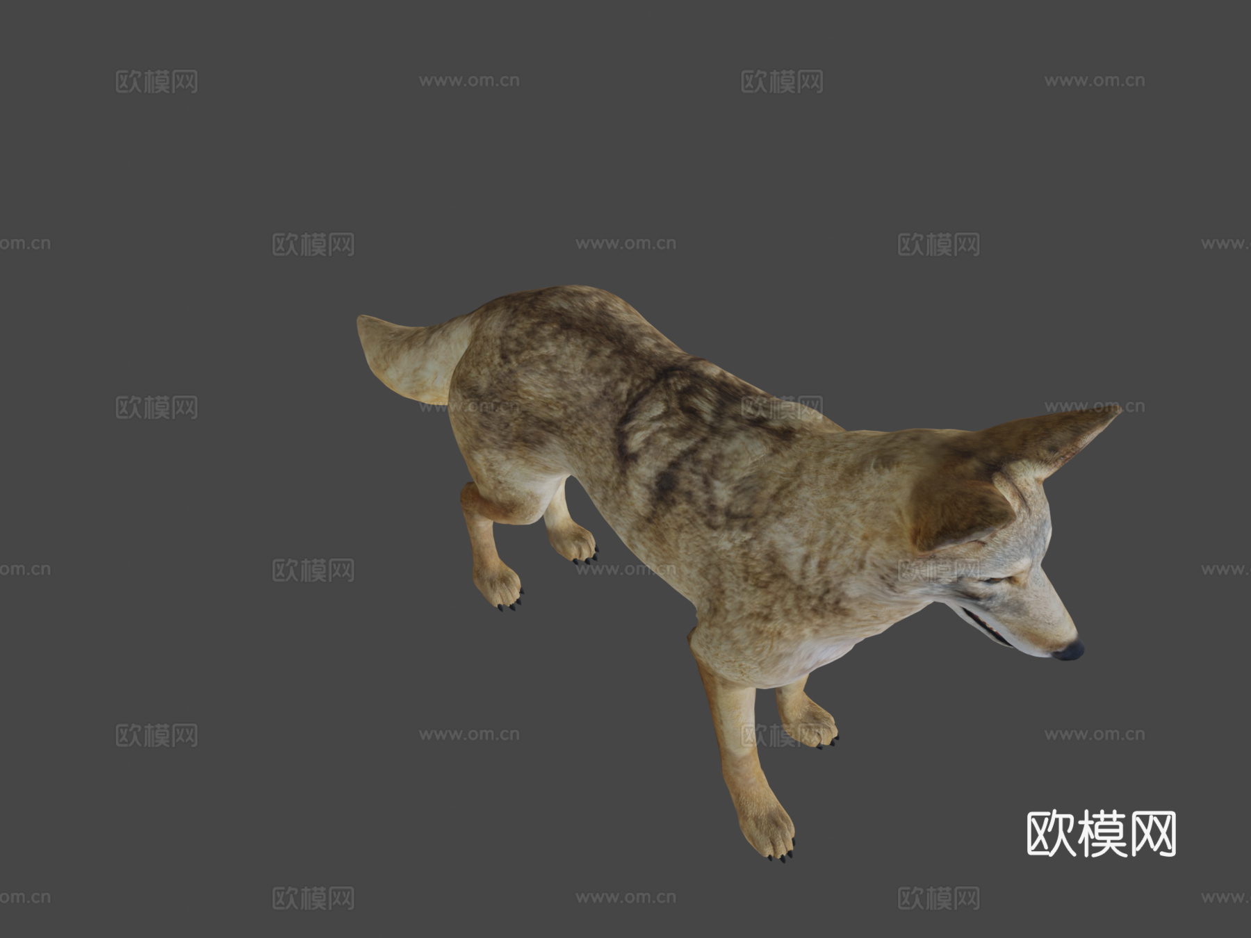 郊狼游戏就绪su模型