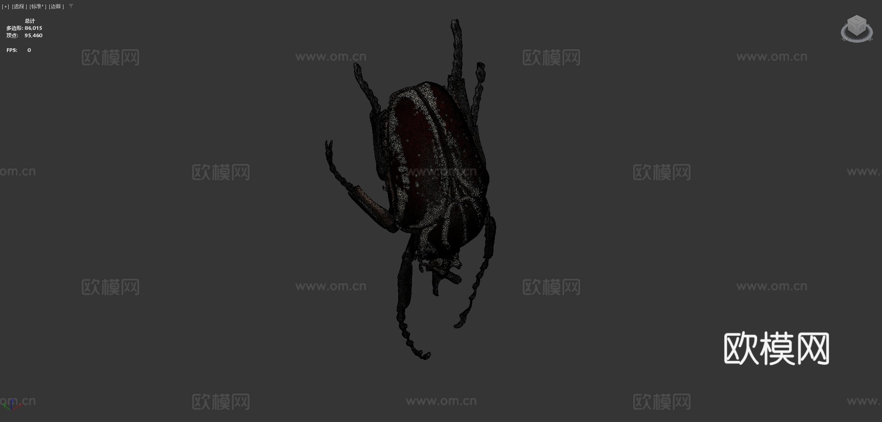 歌利亚甲虫su模型