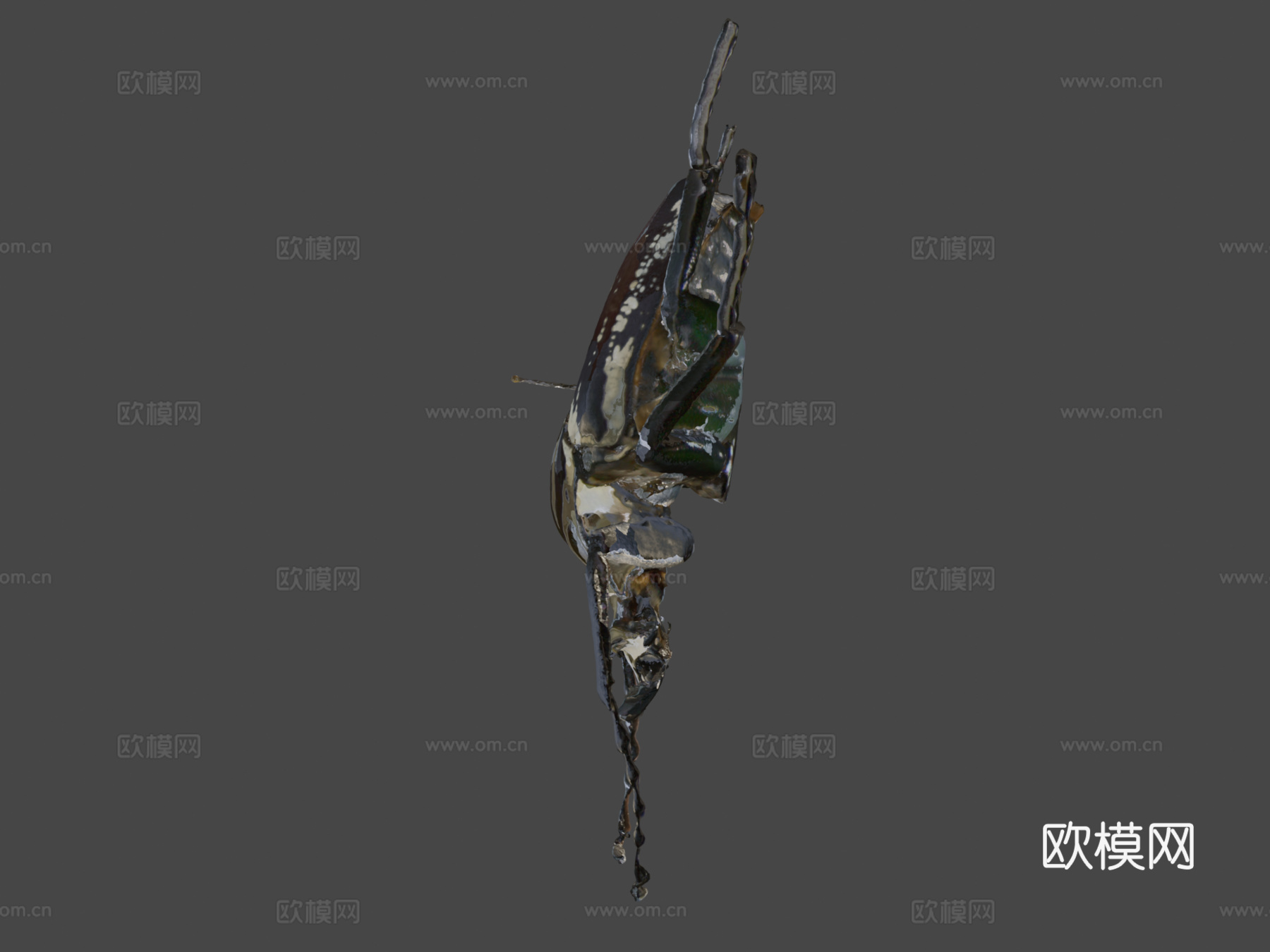 歌利亚甲虫su模型