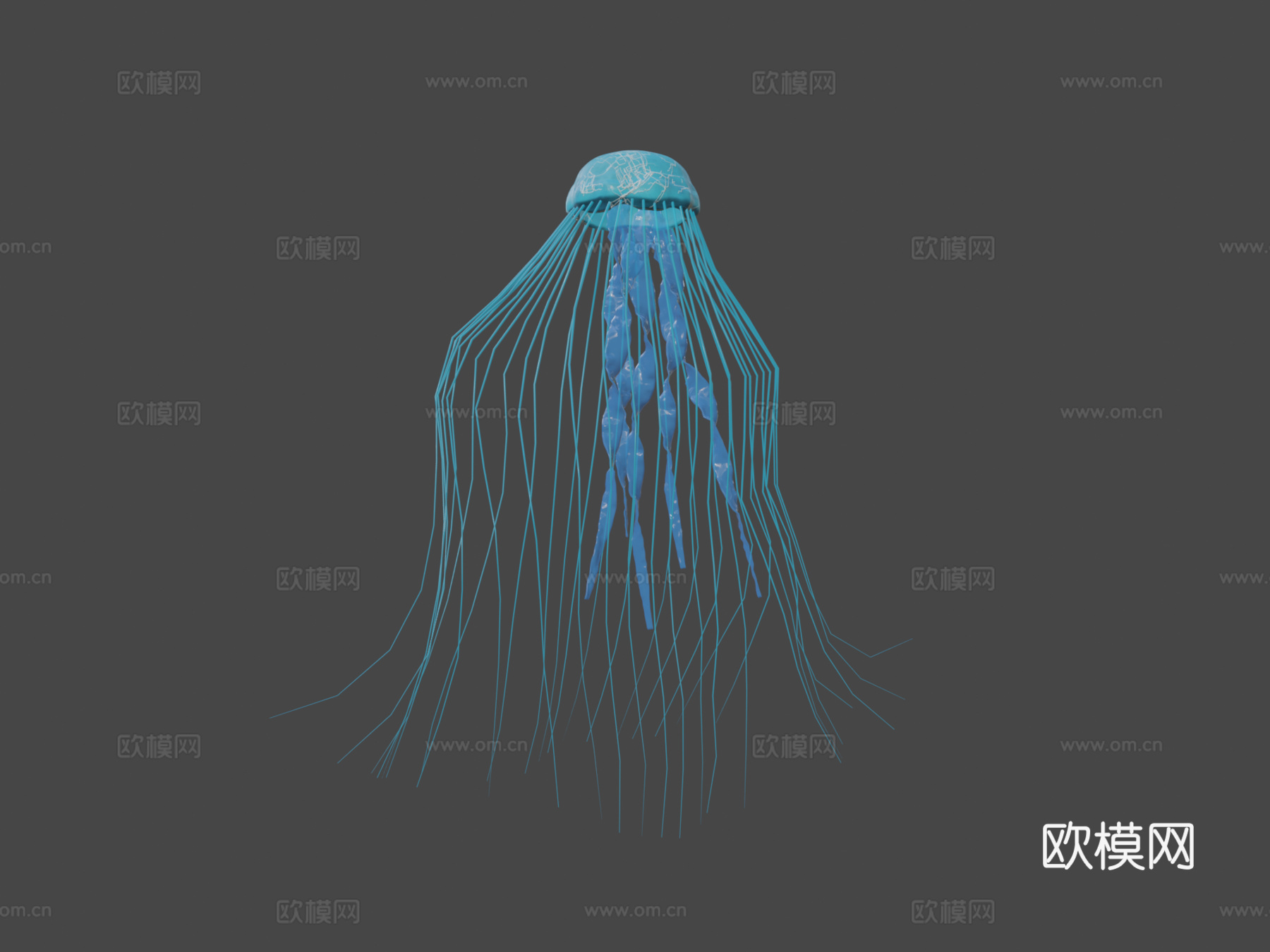水母su模型