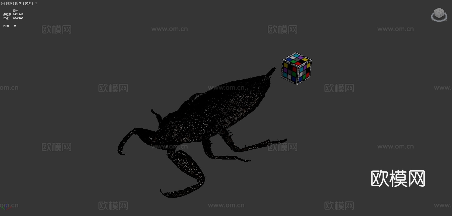 CC0日本大田鳖su模型