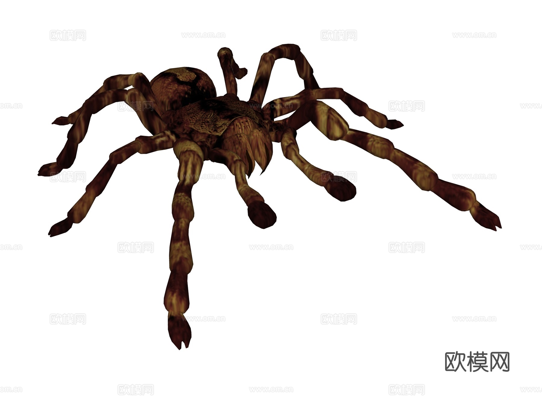 蜘蛛su模型