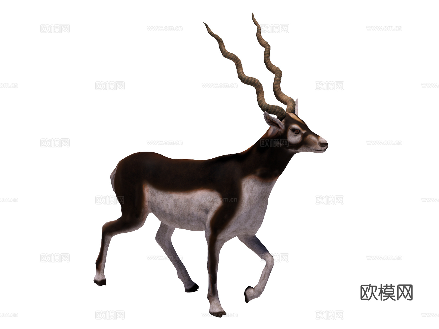羚羊su模型