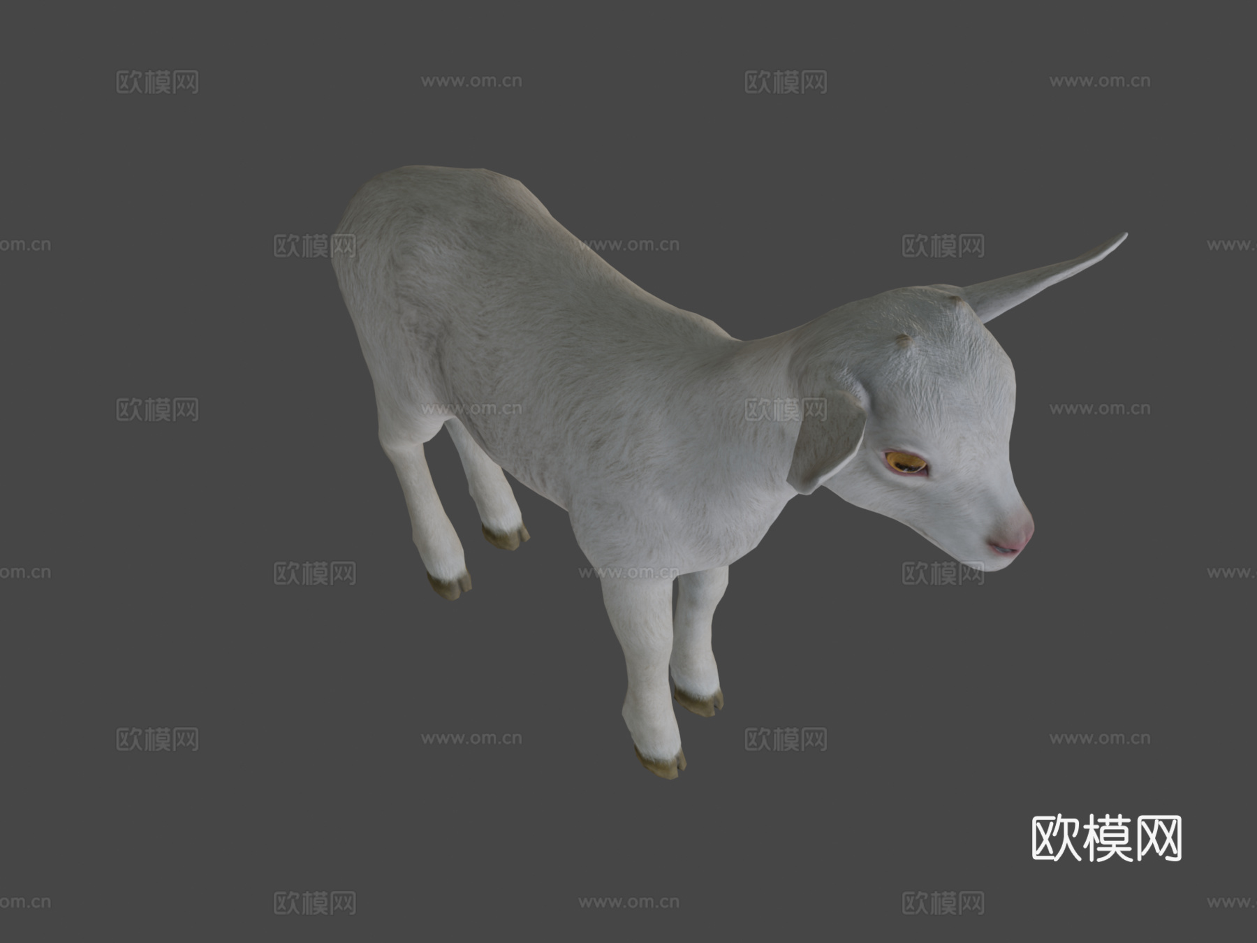 小山羊su模型
