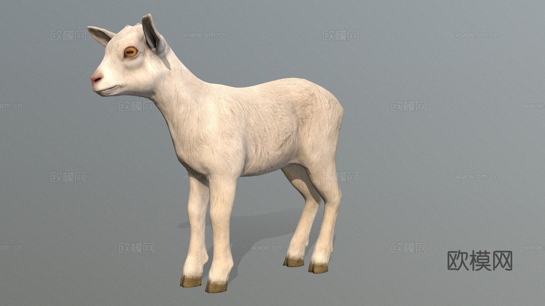小山羊su模型