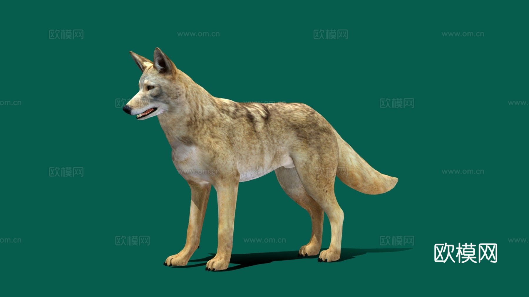 郊狼游戏就绪su模型