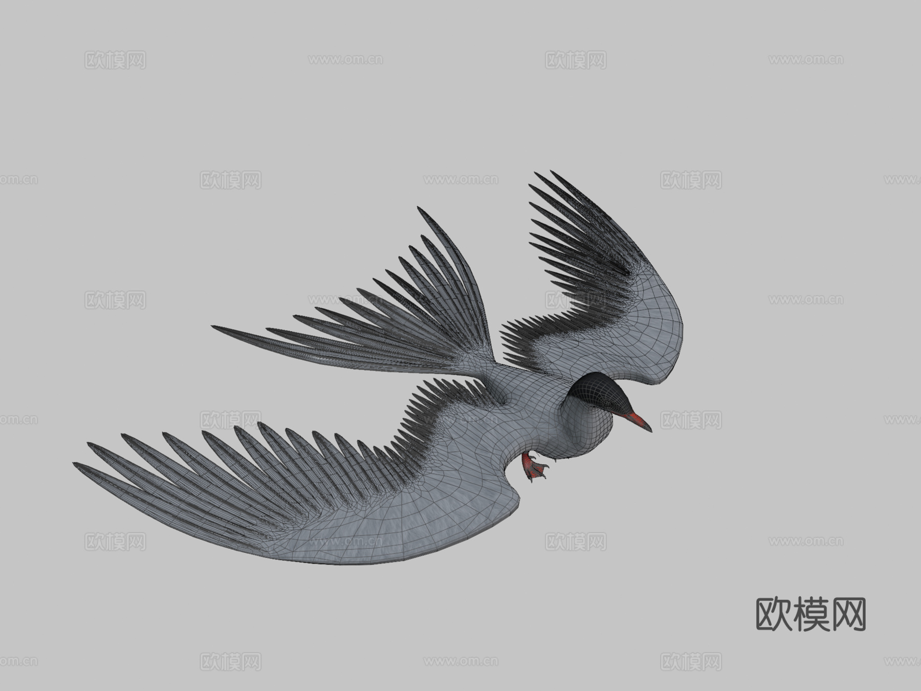 北极燕鸥su模型