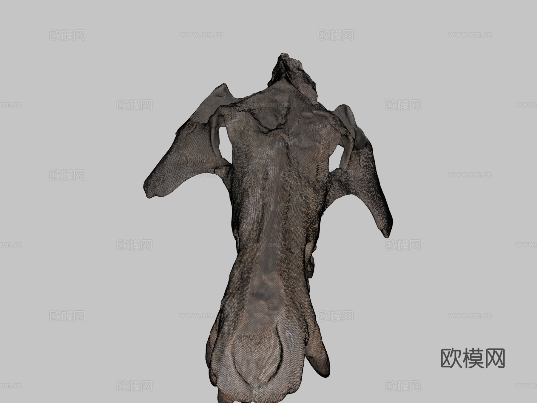 UW6856  古兽莫顿种头骨su模型