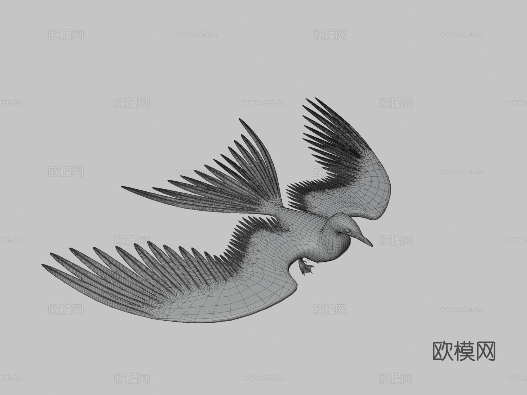 北极燕鸥su模型