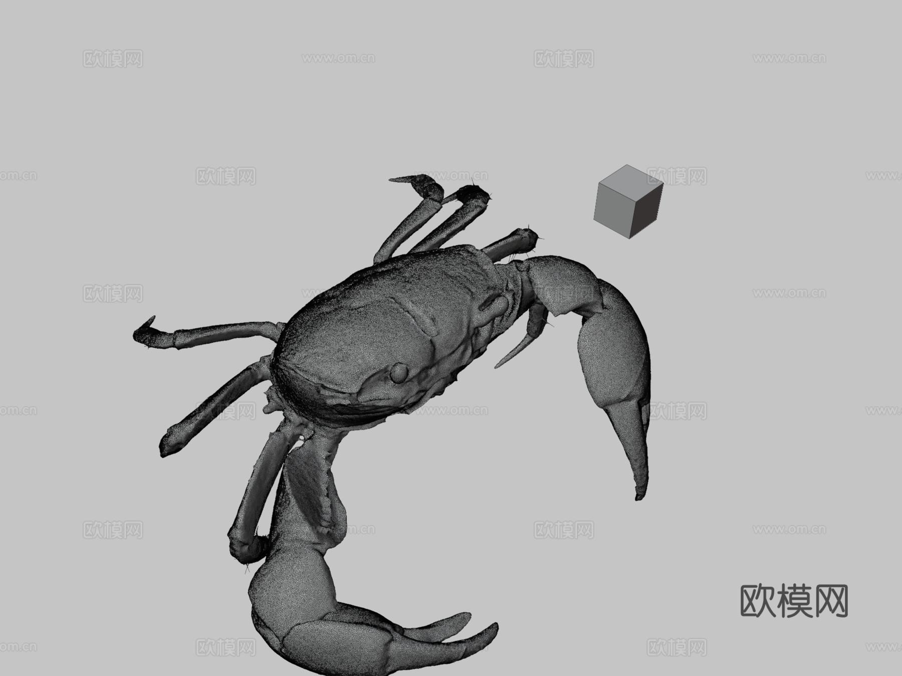 CC0 滨蟹泥滩蟹凸壳蟹su模型