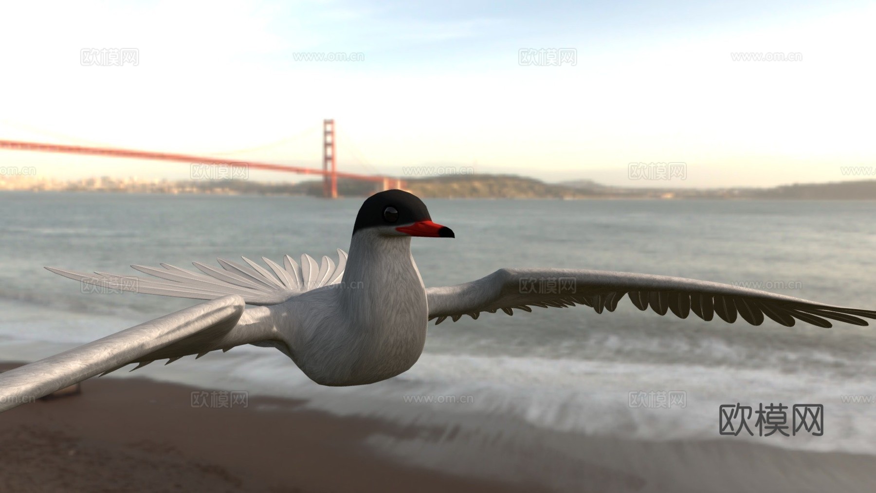 北极燕鸥su模型