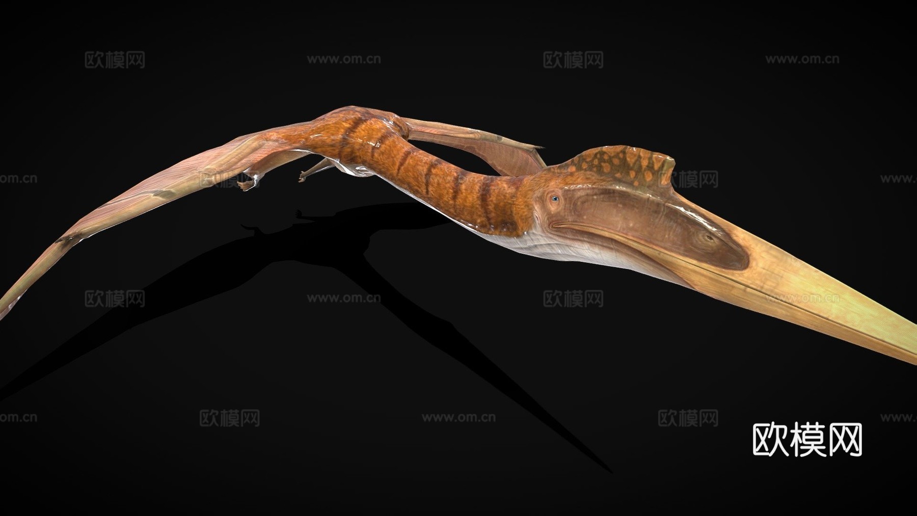 风神翼龙美国绑定su模型