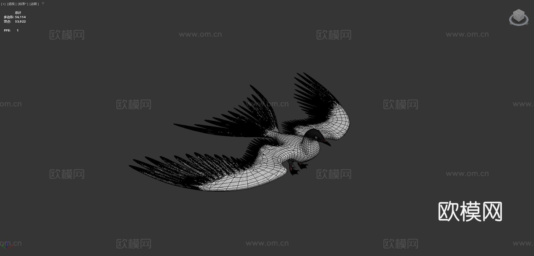 北极燕鸥su模型