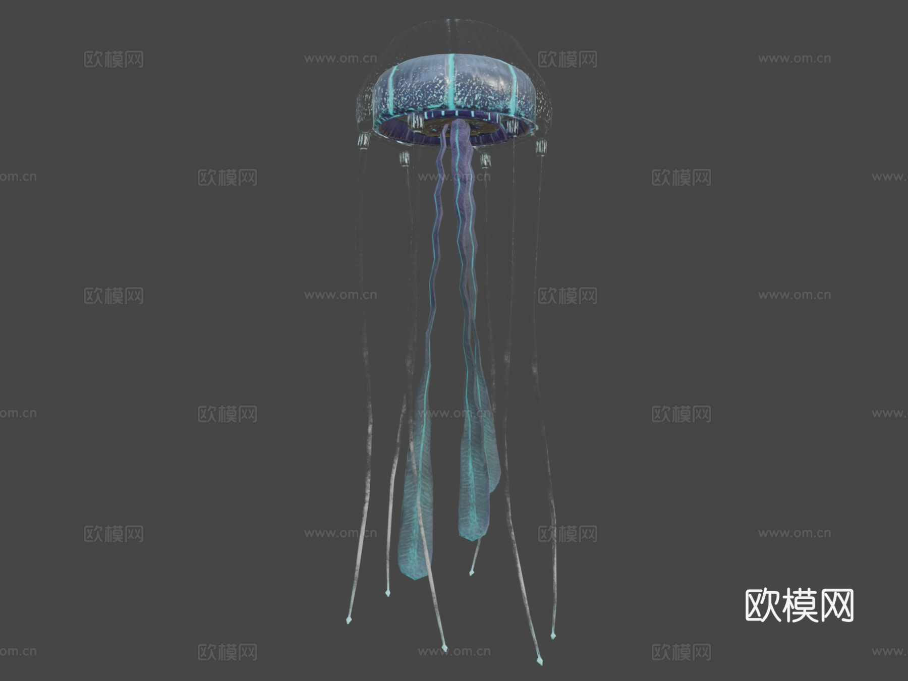 水母su模型
