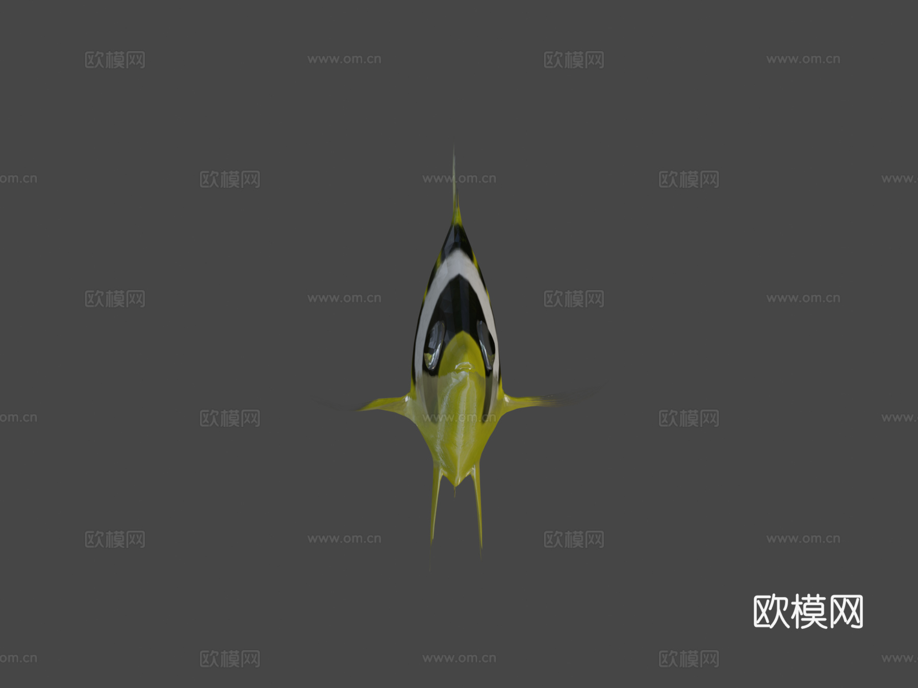 蝴蝶鱼绑定su模型