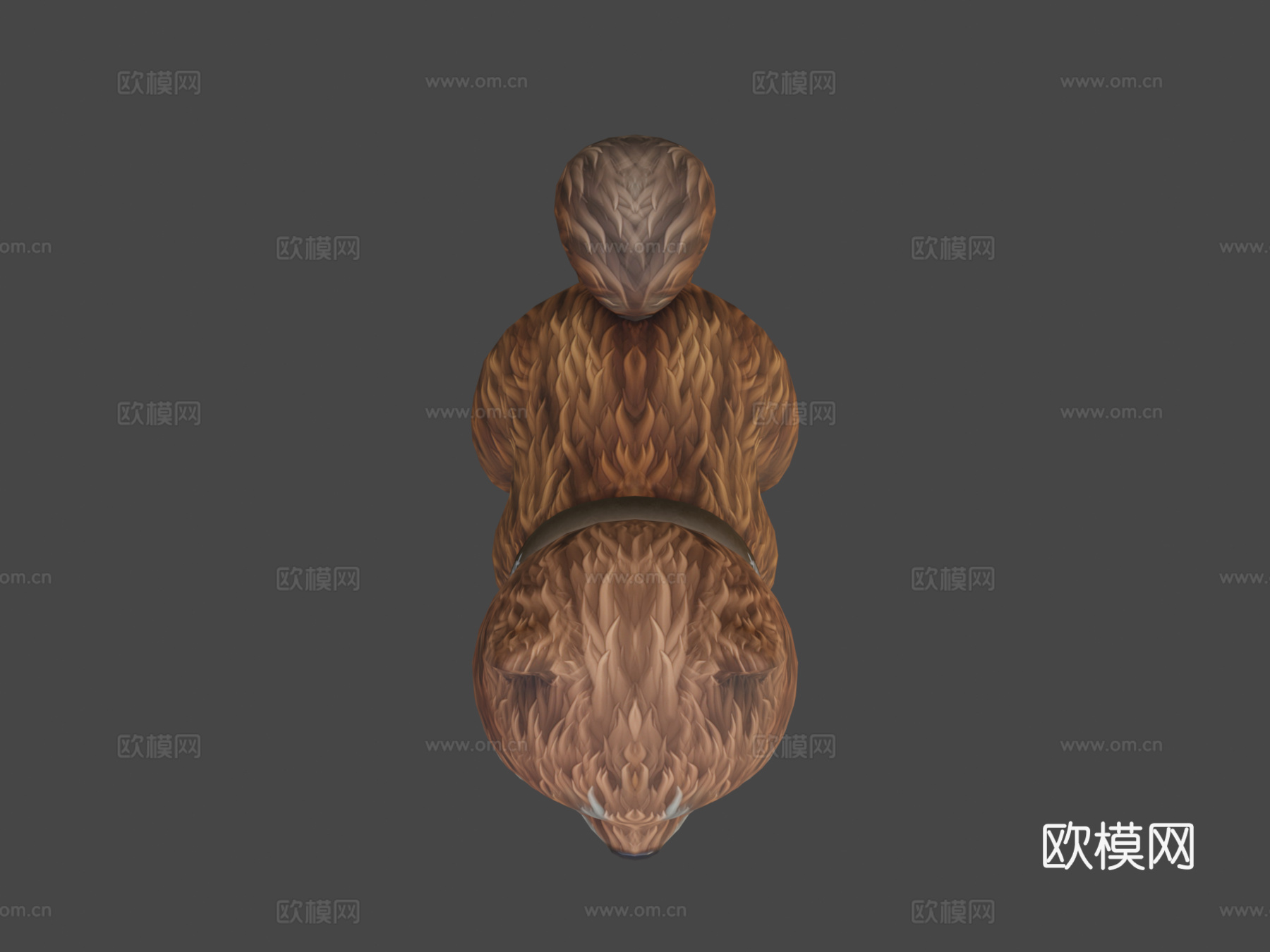 毛茸茸的柴犬su模型