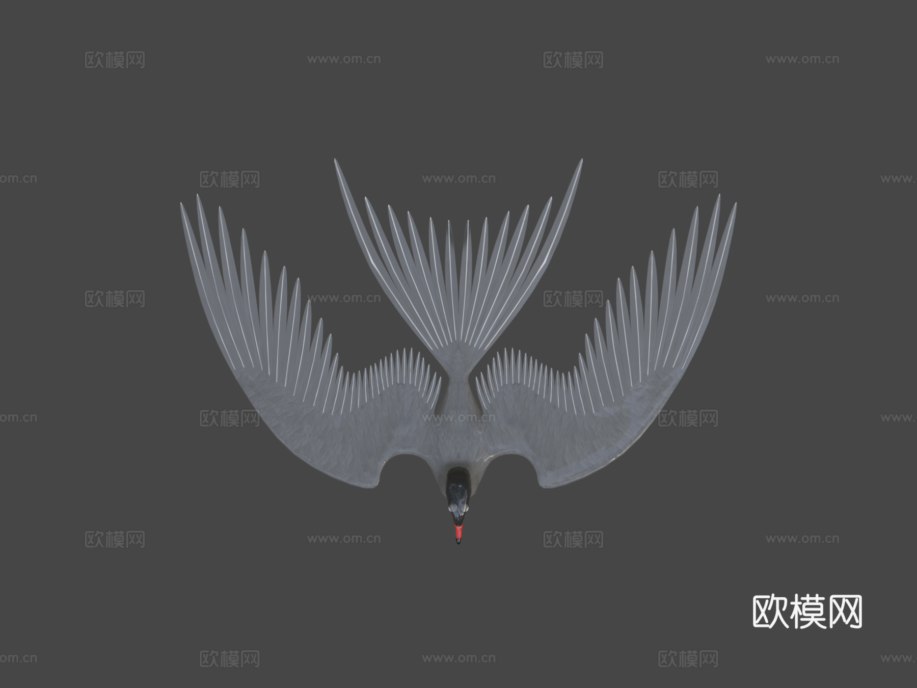 北极燕鸥su模型