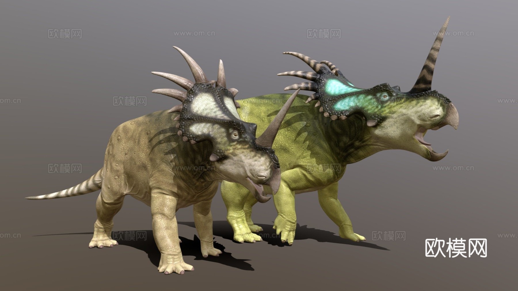 戟龙阿尔伯塔种一对su模型