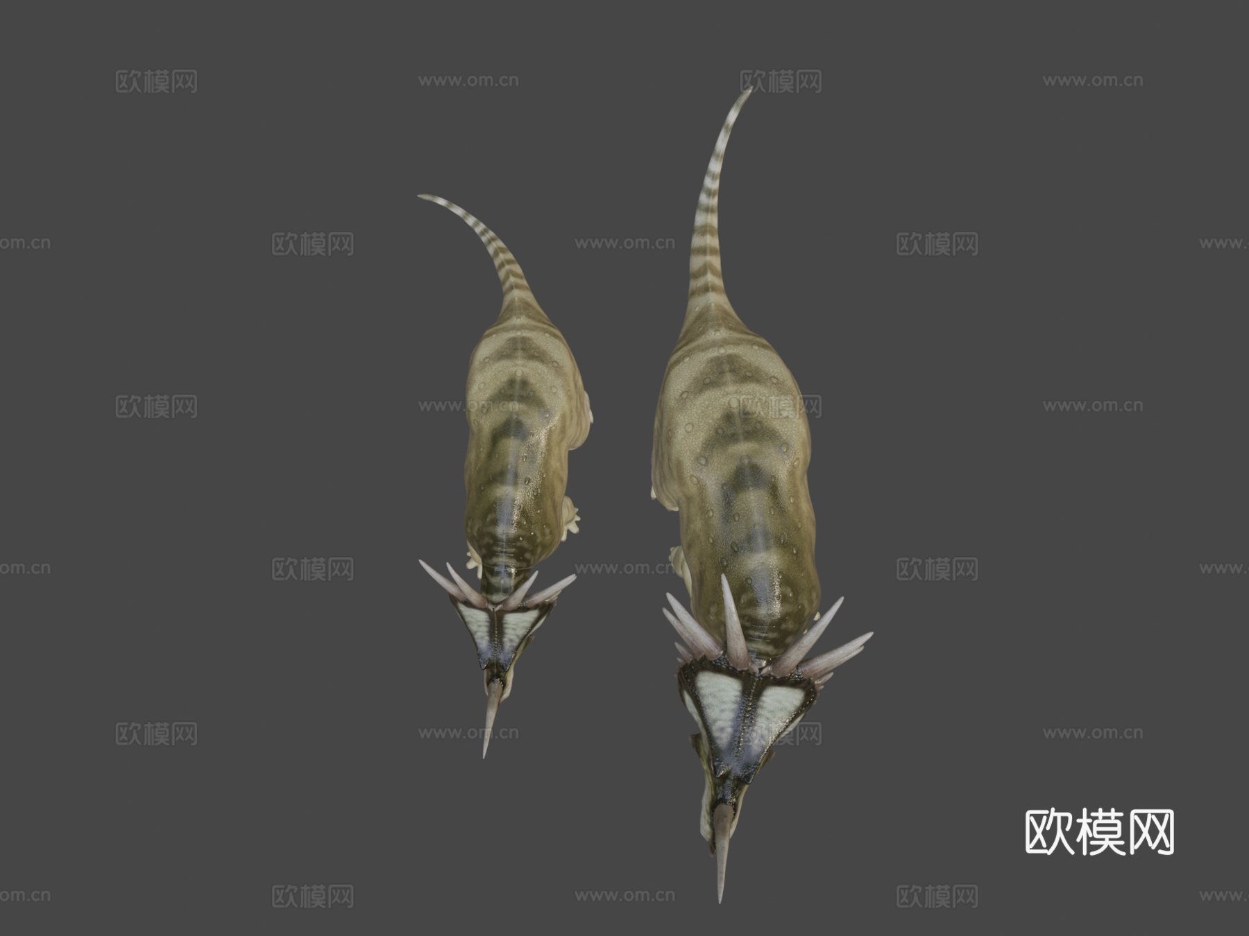 戟龙阿尔伯塔种一对su模型