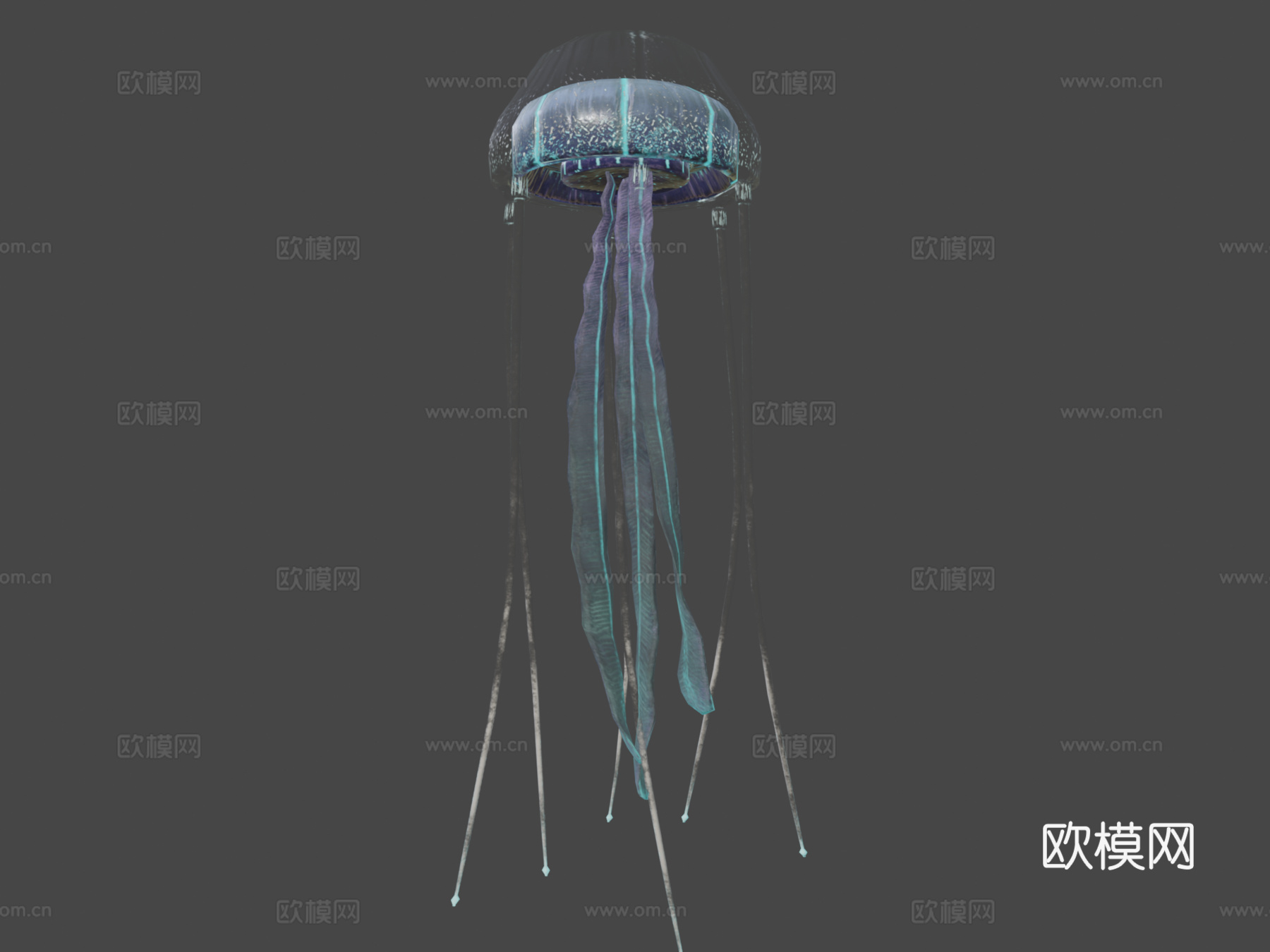 水母su模型